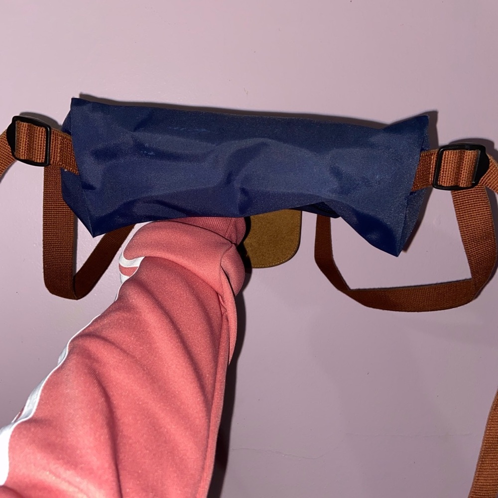 Longchamp Le Pilage backpack (gently used)